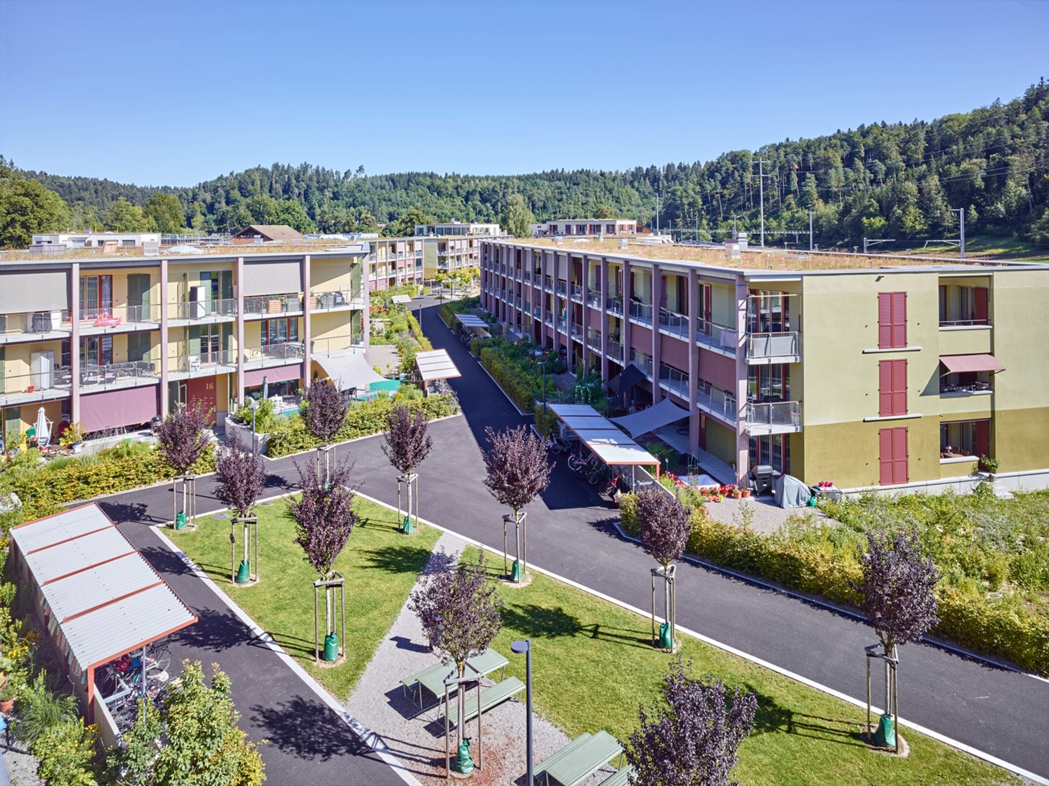 Wohnüberbauung Oberzelg (Esch Sintzel Architekten, Zürich; HGW Heimstätten-Genossenschaft Winterthur)