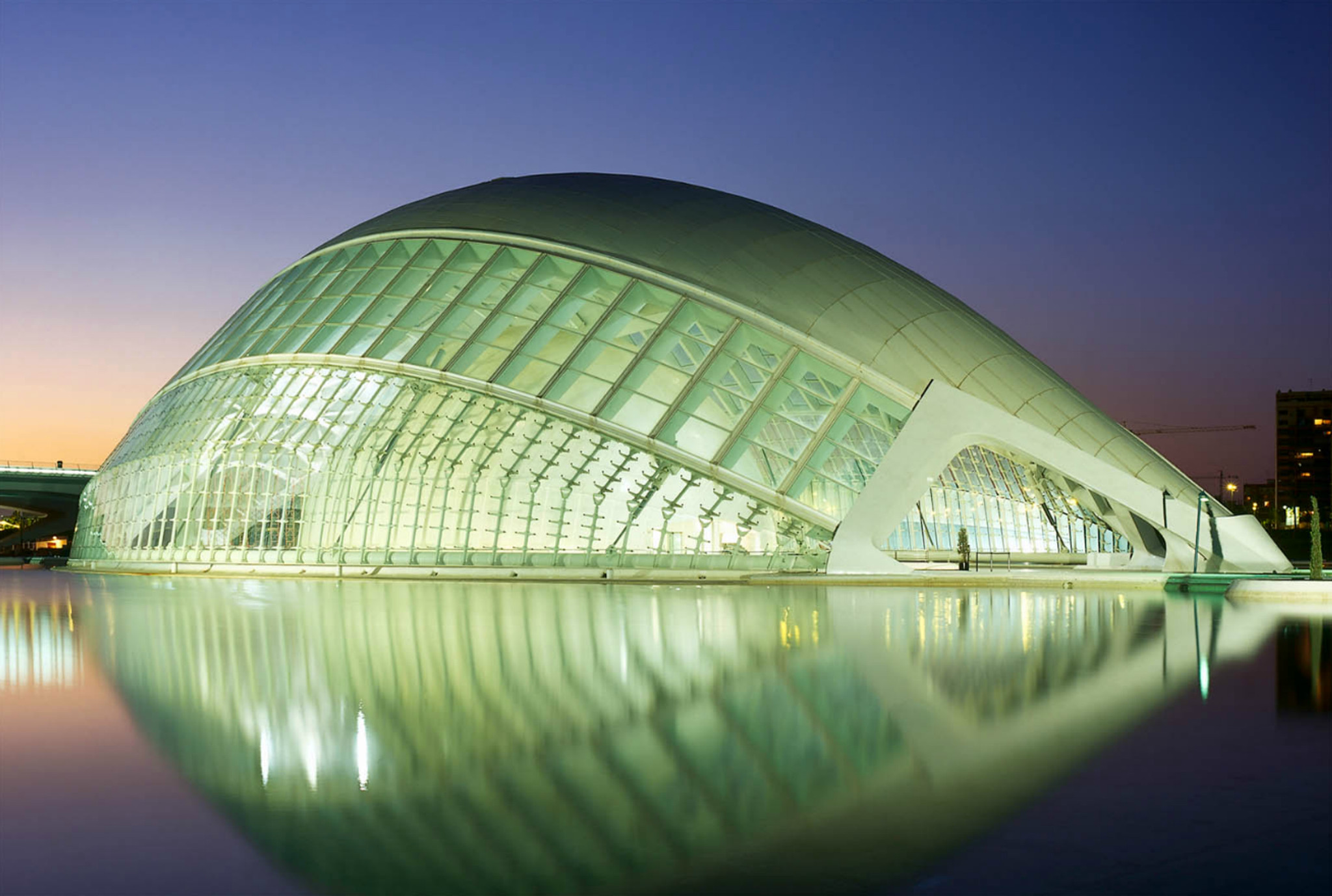 Braucht ein solches Objekt Notausgänge oder Behindertenaufzüge? Wissenschaftsmuseum in Valencia von Santiago Calatrava.