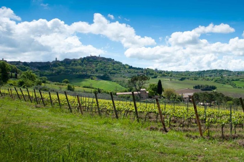 MONTEPULCIANO