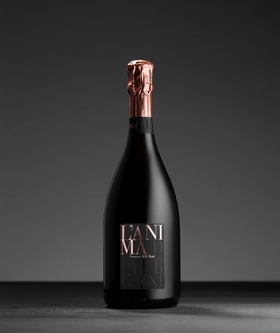 Prosecco Anima Rosé