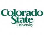 CSU Online Certificate Programs