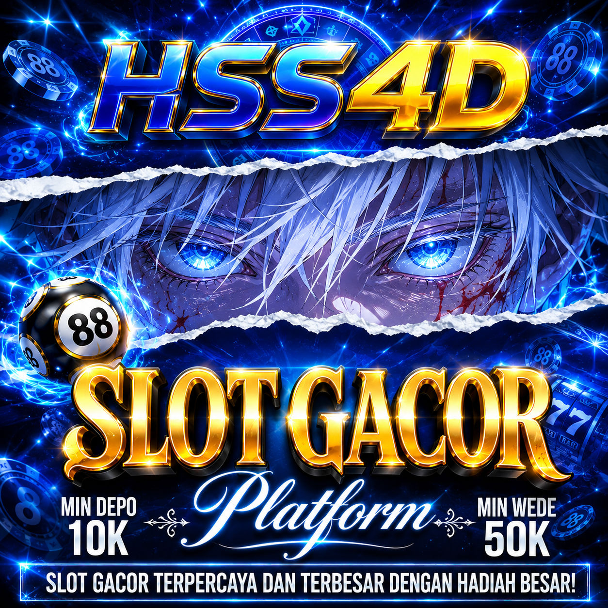 HSS4D