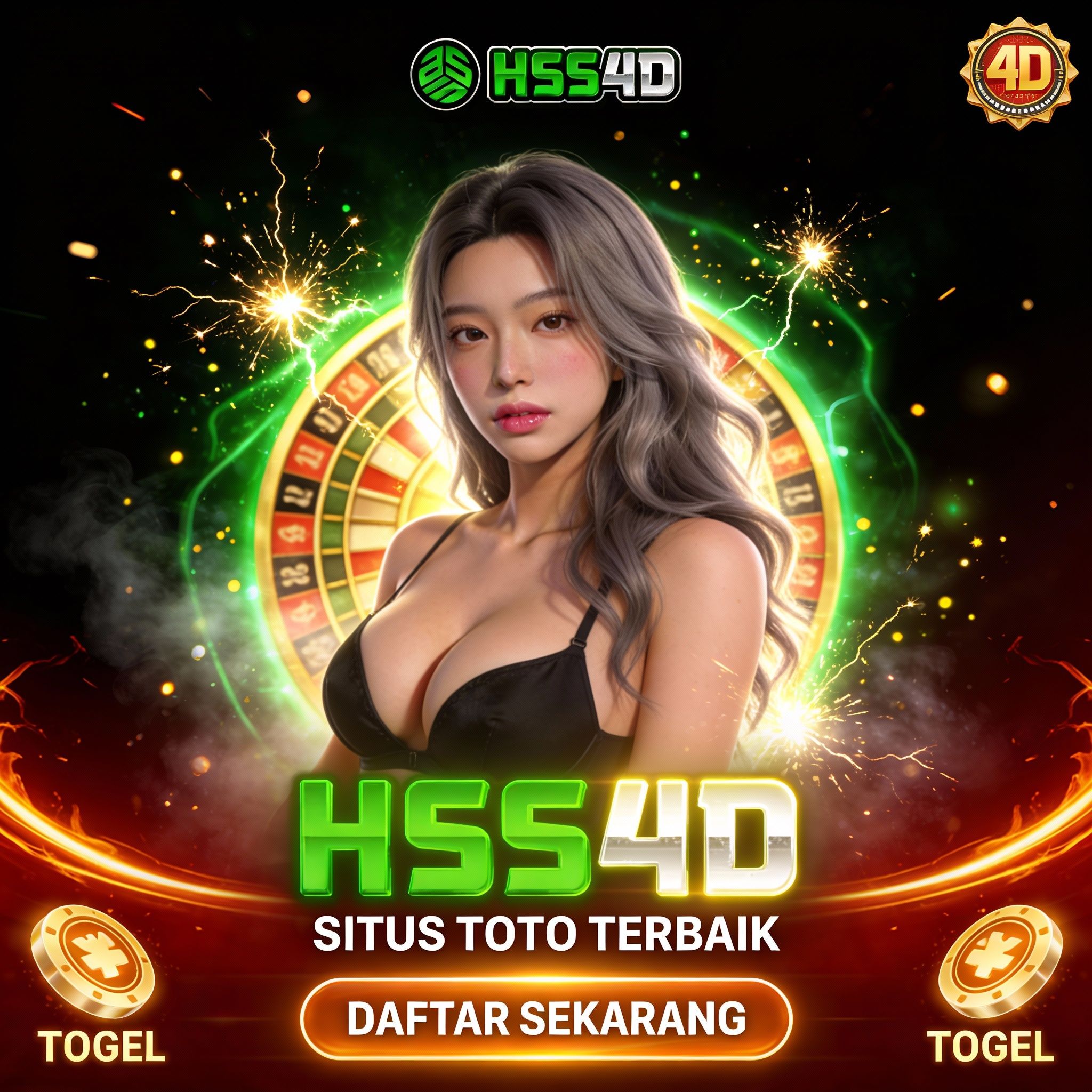 HSS4D