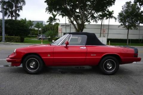 1987 Alfa Romeo Spider Graduate Convertible for sale