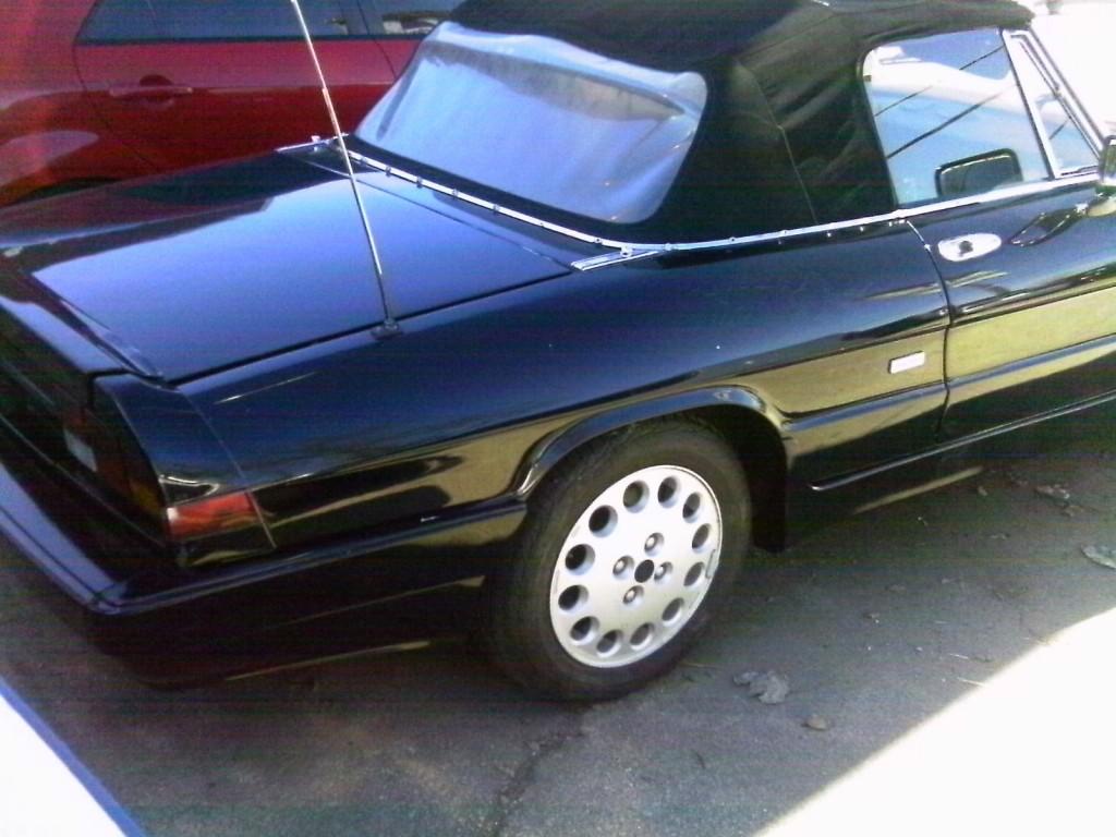 1988 Alfa Romeo Spider