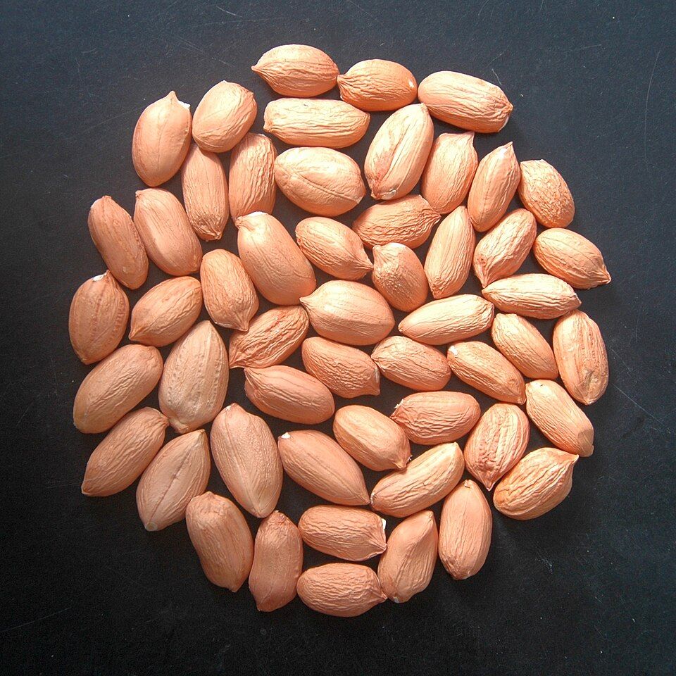 Groundnut Oil