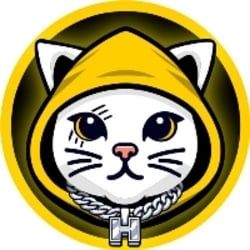 Cat in Hoodie icon