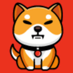 Baby Shiba Inu icon