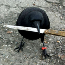 crow with knife Icon