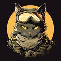 Kitten Haimer icon