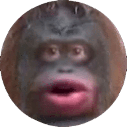 Monkecoin icon