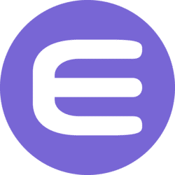 Enjin Coin icon