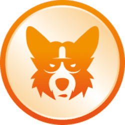 CorgiAI icon