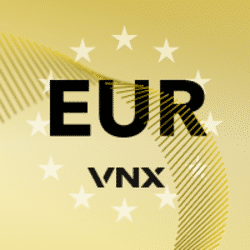 VNX EURO icon