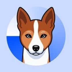 Basenji Icon