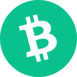 Bitcoin Cash icon