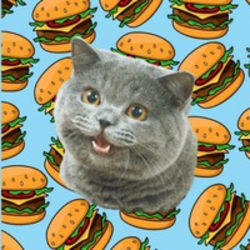 Cheezburger Cat icon
