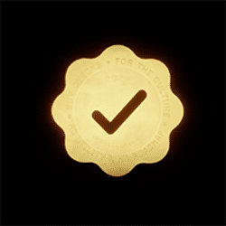 Checks Token icon