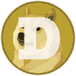 Dogecoin Icon