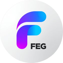 FEG BSC icon