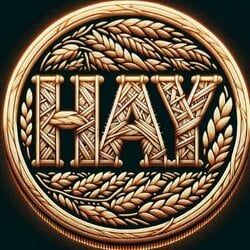 HayCoin icon