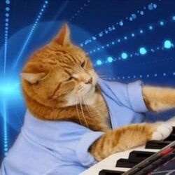 Keyboard Cat (Base) icon