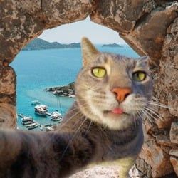 CATOUR icon