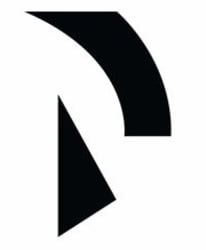 Raiden Network icon