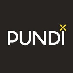 Pundi X Icon