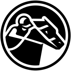 zkRace icon