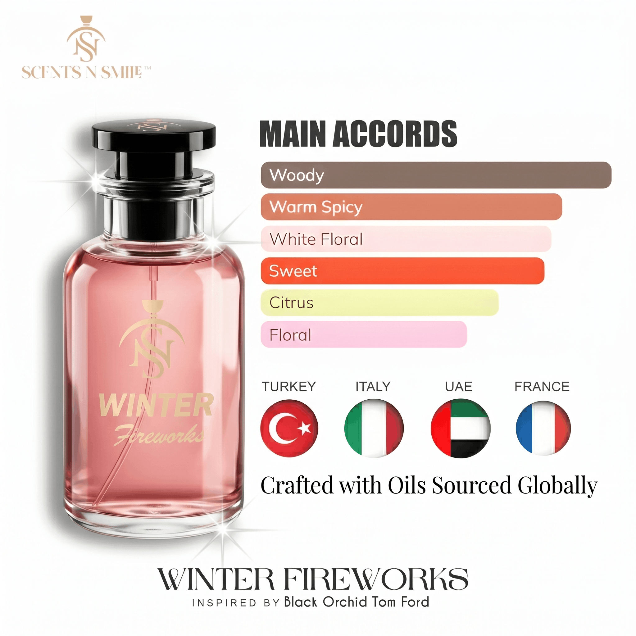 WINTER FIREWORKS