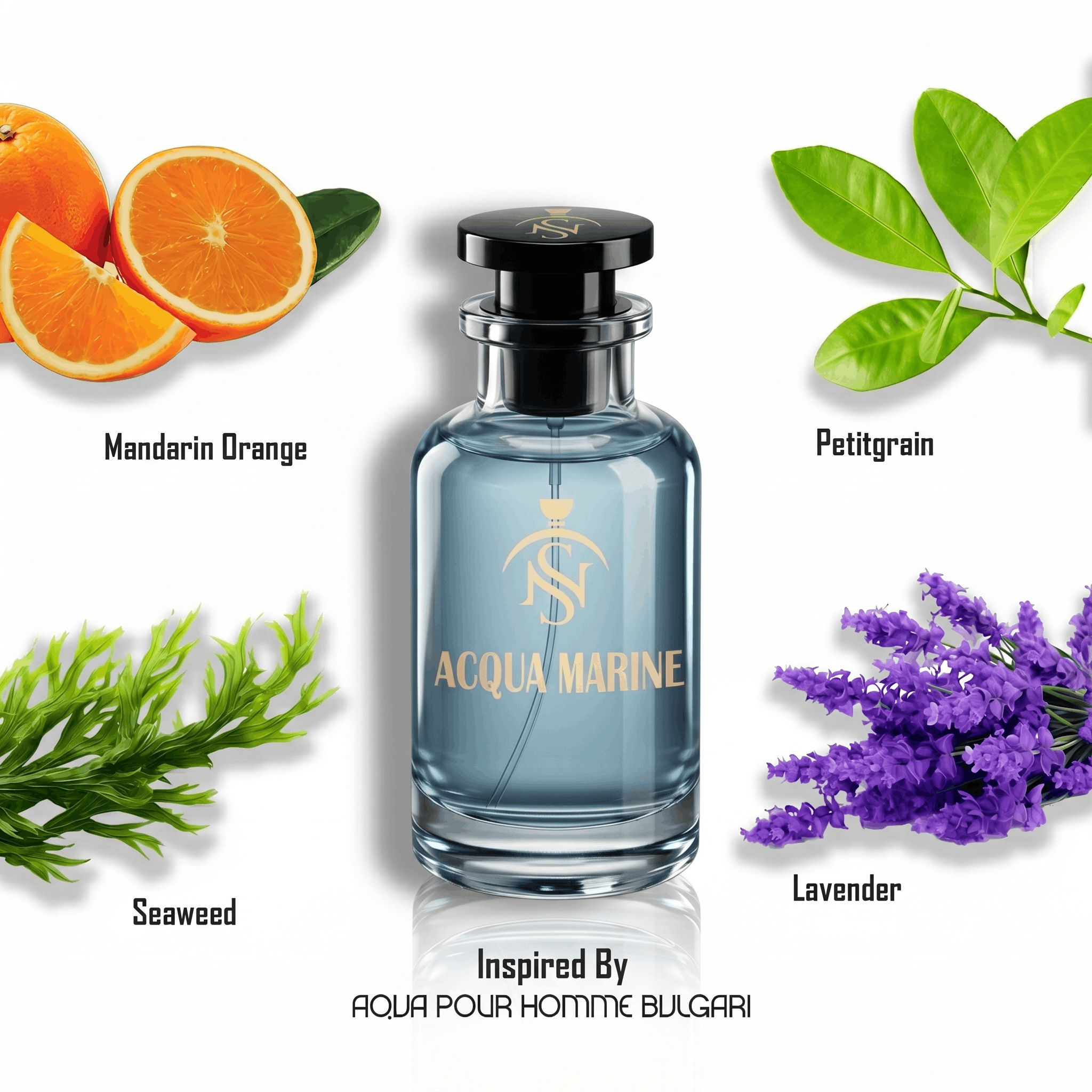 ACQUA MARINE
