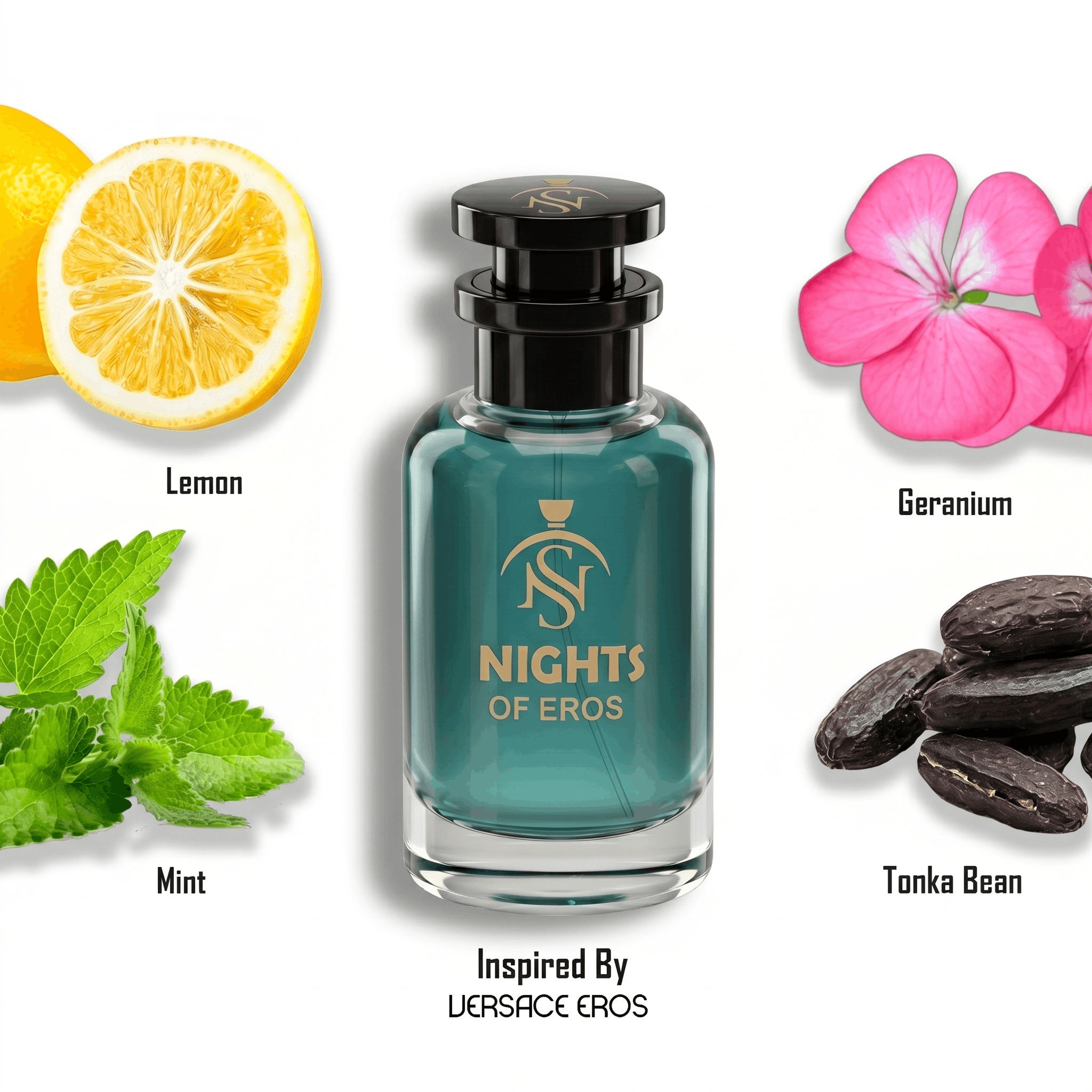 NIGHTS OF EROS