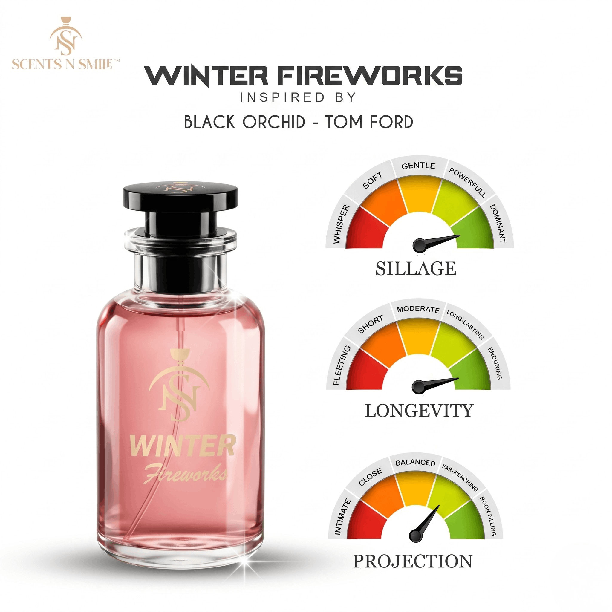 WINTER FIREWORKS