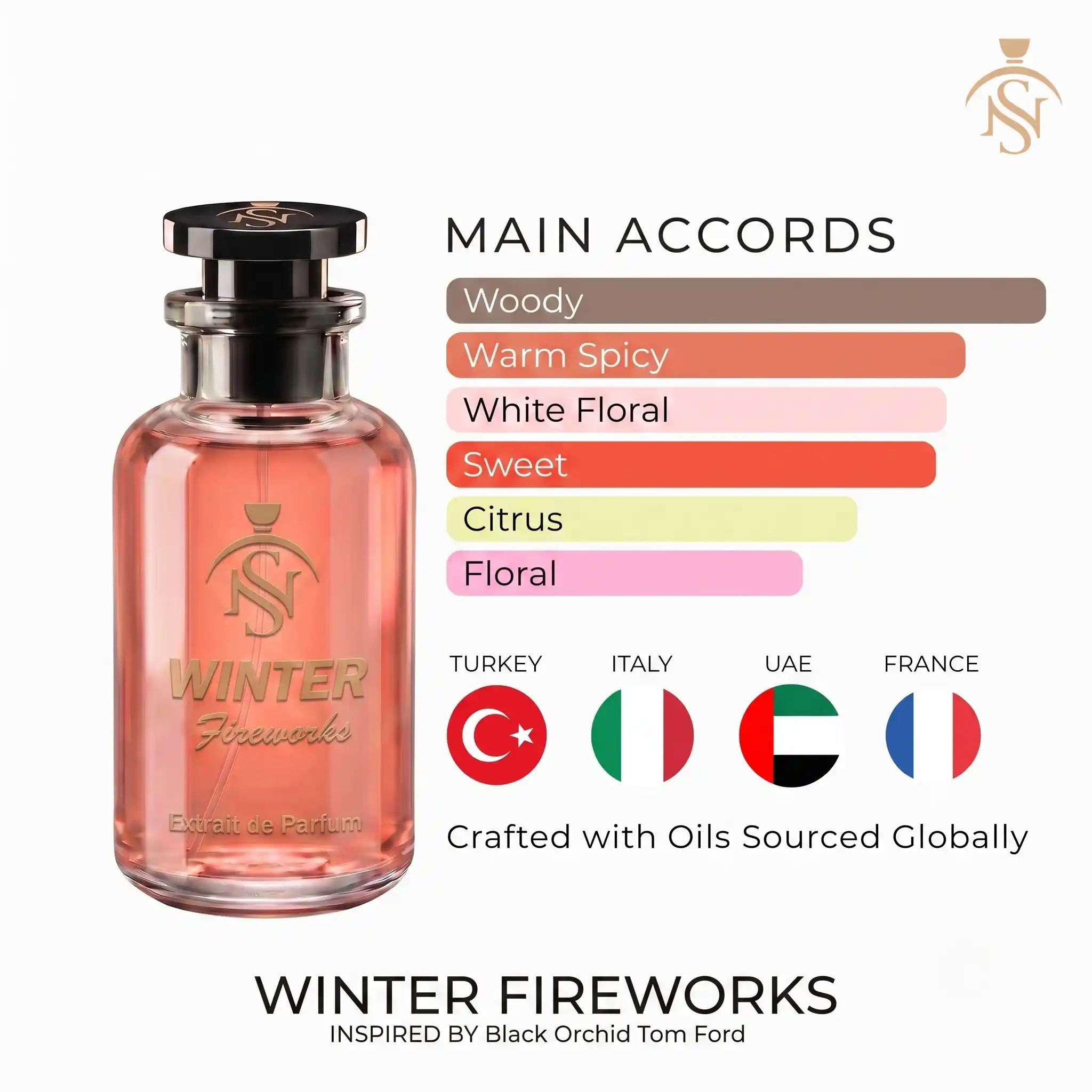 WINTER FIREWORKS