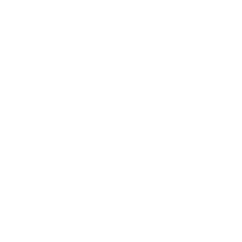 SLOT200