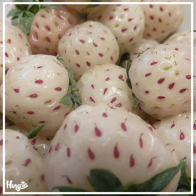 Do You Know Any Of These Freaky And Healthy Fruits? Here Are Few Of Them 7 pine berry
