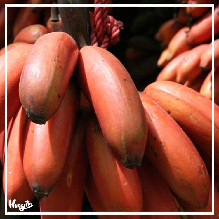 Do You Know Any Of These Freaky And Healthy Fruits? Here Are Few Of Them 1
