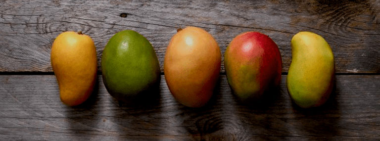 mangoes