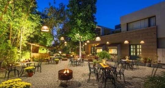 9 Places That Serve Awesome Punjabi Food In Ahmedabad 9 Culinary delights| Under the neem trees