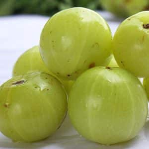 11 Food Items From School Days To Make You Nostalgic! 3 amla| khatta amla| food from school days|summer| amla