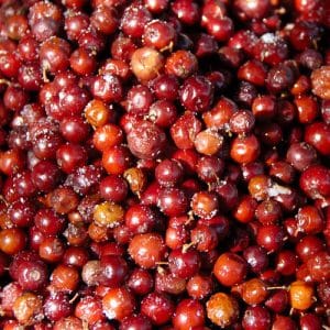 11 Food Items From School Days To Make You Nostalgic! 11 bor| ber| food| summer fruit| red fruit| school memory lane