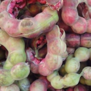 11 Food Items From School Days To Make You Nostalgic! 5 Goras amli| sweet fruit| memory lane| pink fruit