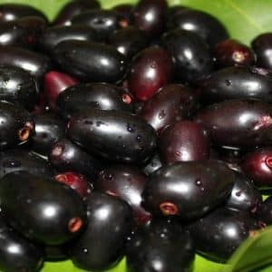 11 Food Items From School Days To Make You Nostalgic! 10 jamun| food| school days| fruits| memory lane| school fruit