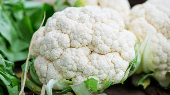 Foods That Will Resist You From Gaining Weight 2 Foods Resist Gaining Weight
