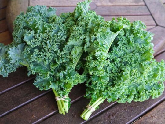 Gorgeous Leafy Greens And Their Benefits 2 Georgeous Leafy Greens And Their Benefits| Kale