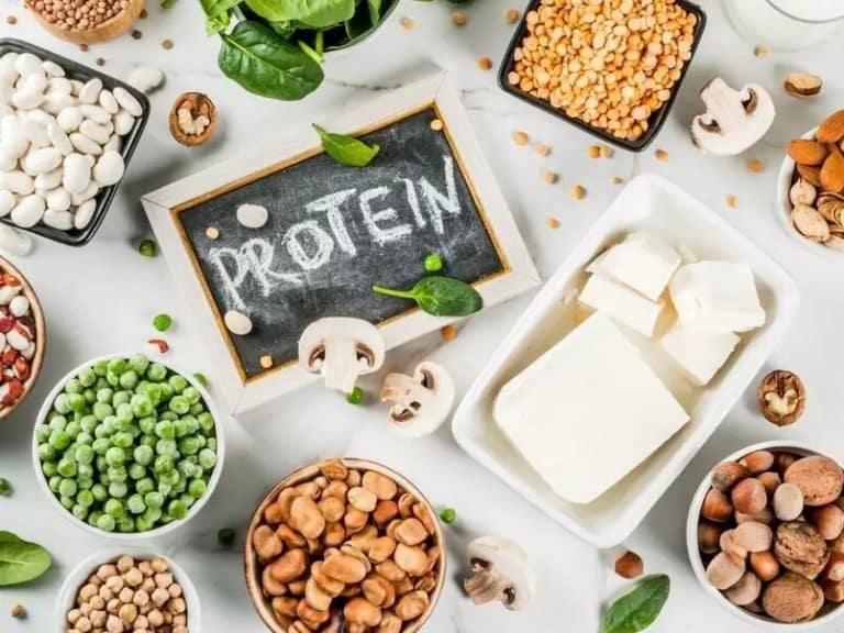 The importance of protein in your daily diet| Cover Image