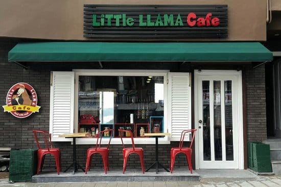 6 Best Cafes In Mussoorie 3 Cafes In Mussoorie| Little Llma Cafe