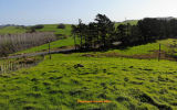 (Legacy 85) 3060 Kaipara Coast Highway