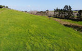(Legacy 85) 3060 Kaipara Coast Highway